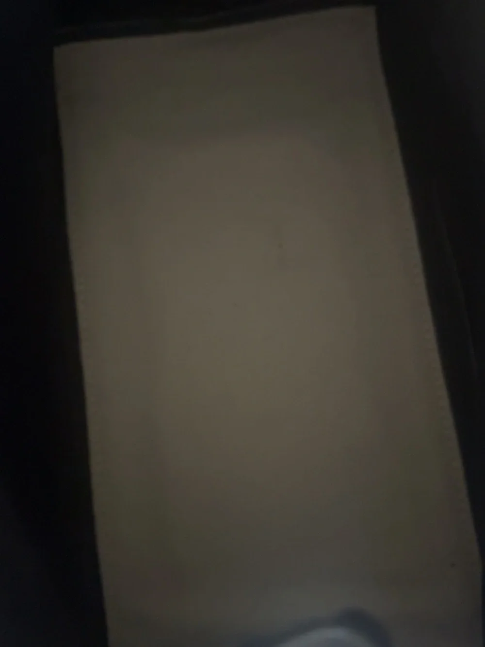 Balenciaga Cream Canvas Tote with Black Trim - Picture 5 of 5